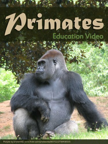 Primats (1997) постер