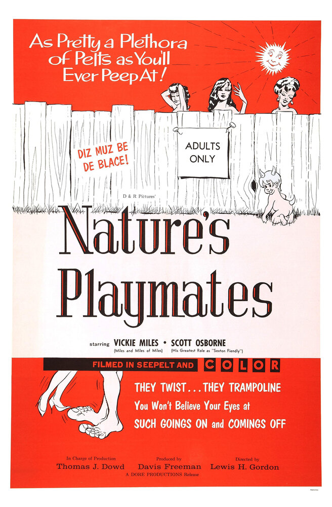 Естественные забавы (1962) постер