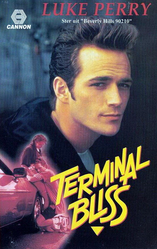 Terminal Bliss (1990) постер