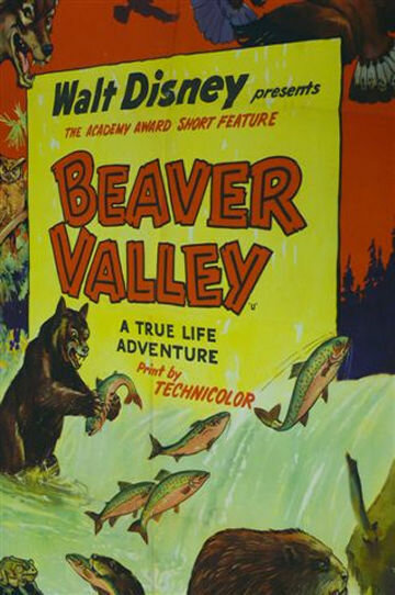 Бивер Вэлей (1950) постер