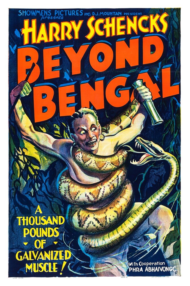 По ту сторону Бенгалии (1934) постер
