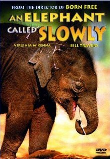 An Elephant Called Slowly (1970) постер