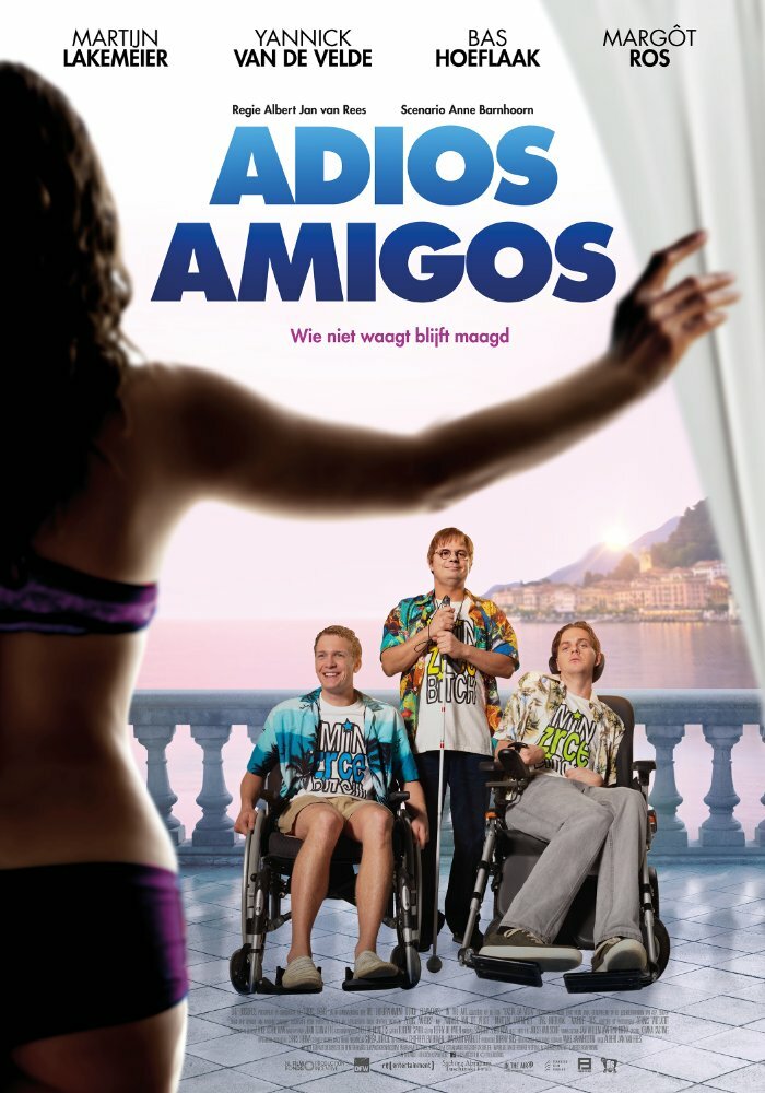 Adios Amigos (2016) постер