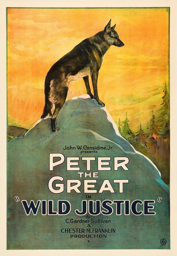 Wild Justice (1925) постер