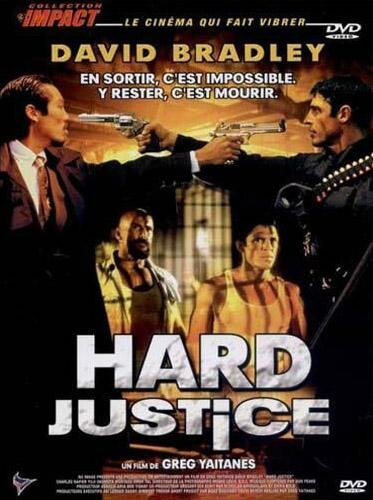 Жестокая справедливость (1995) постер