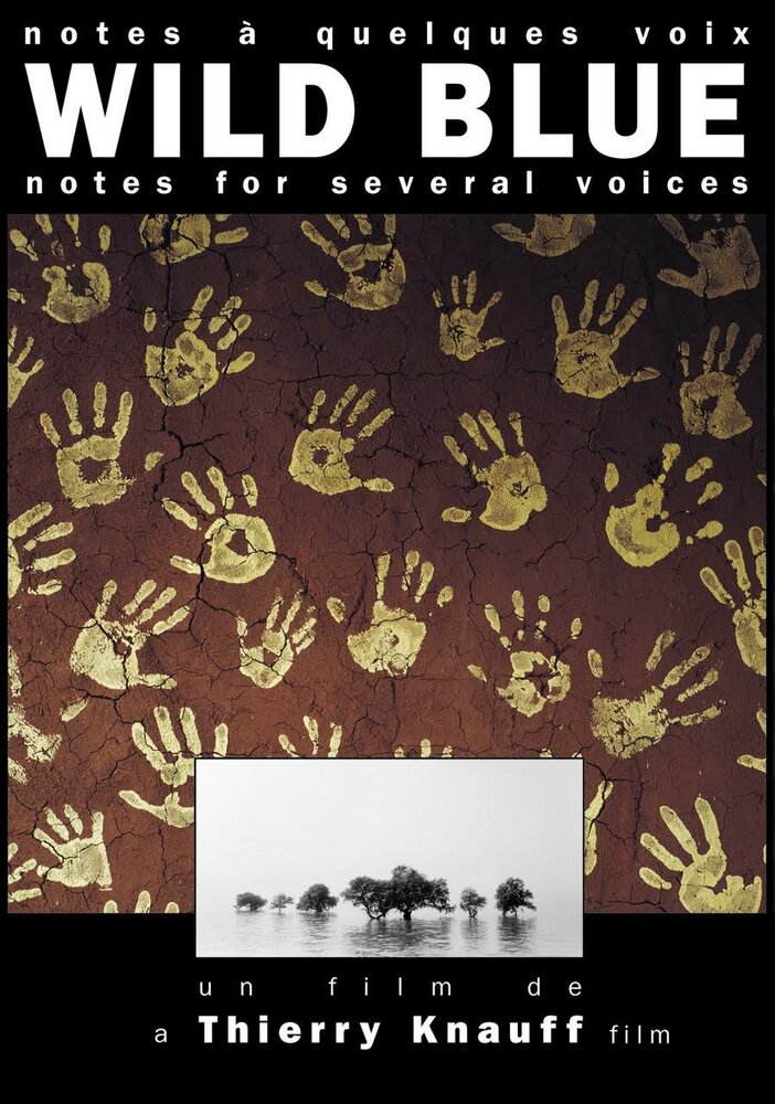 Wild Blue, notes à quelques voix (2000) постер