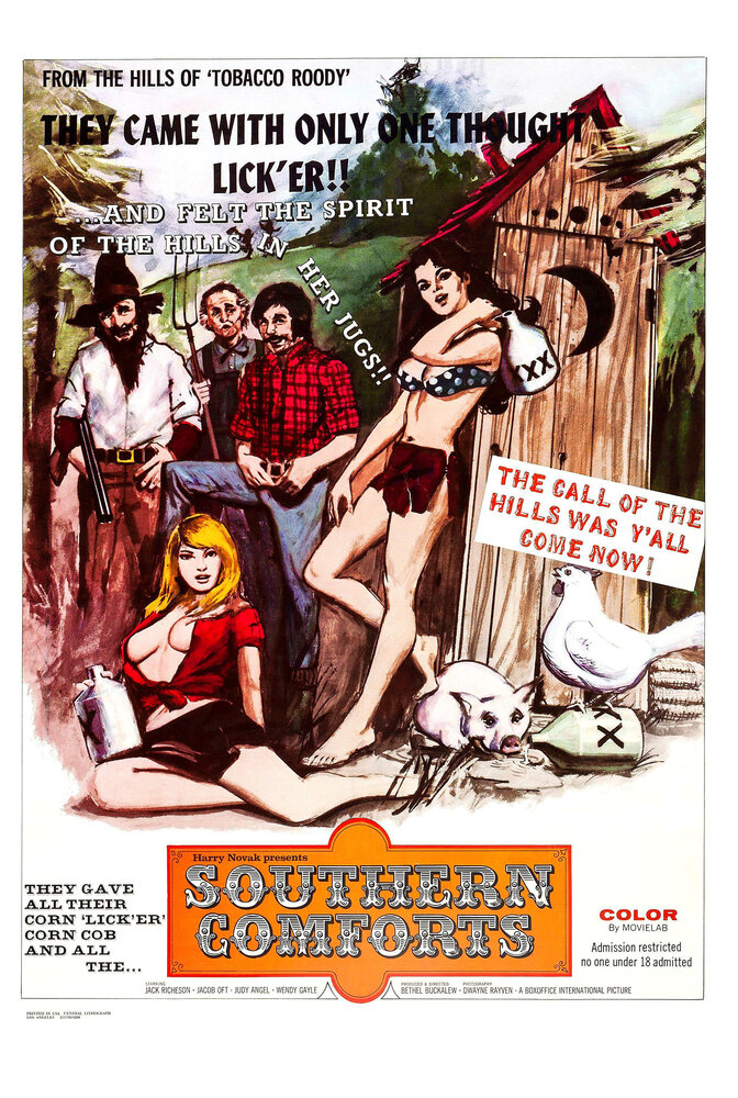 Южные удобства (1971) постер