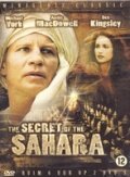 Секрет Сахары (1987) постер
