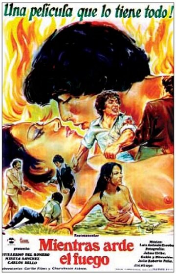 Как горит огонь (1982) постер