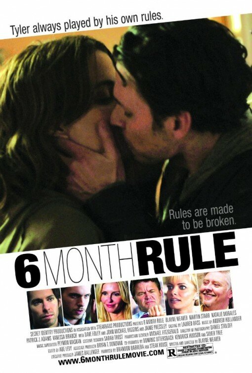Правило шести месяцев (2011) постер