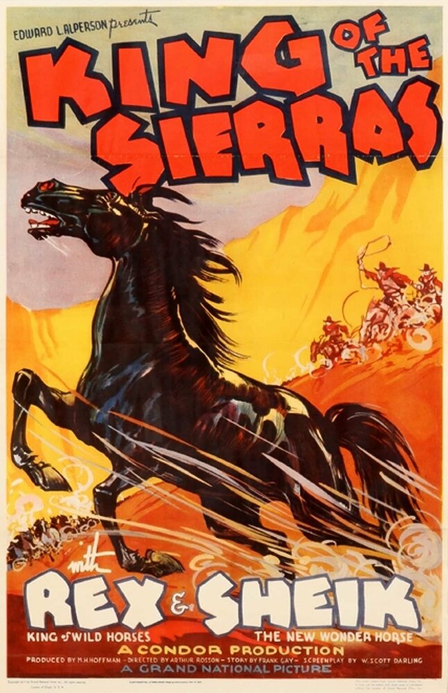 King of the Sierras (1938) постер