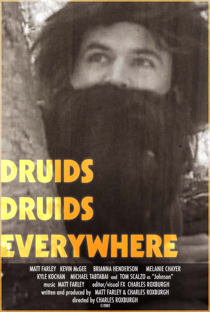 Druids Druids Everywhere (2020) постер