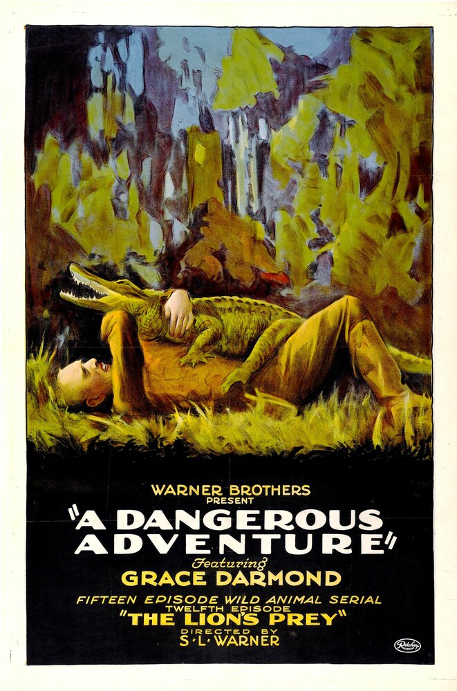 A Dangerous Adventure (1922) постер