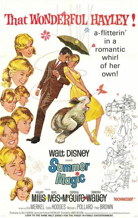 Летняя магия (1963) постер