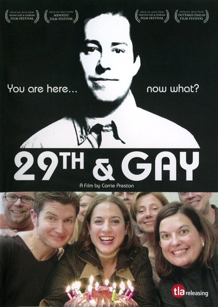 Двадцатидевятилетие гея (2005) постер