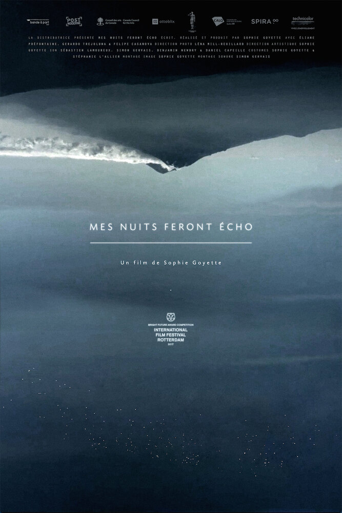 Mes nuits feront écho (2016) постер