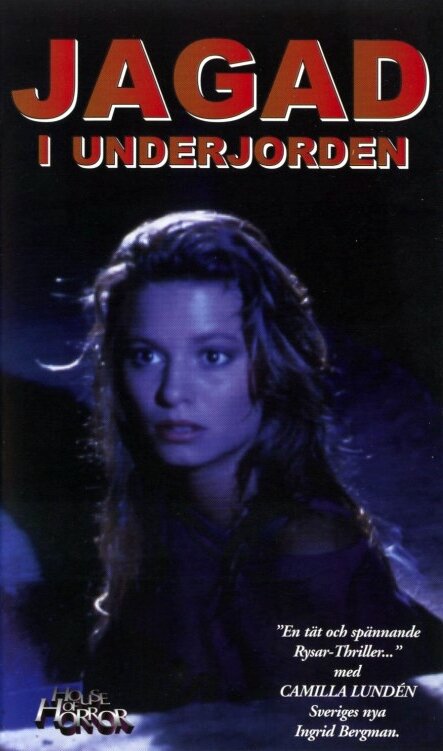 Пещера убийств (1994) постер