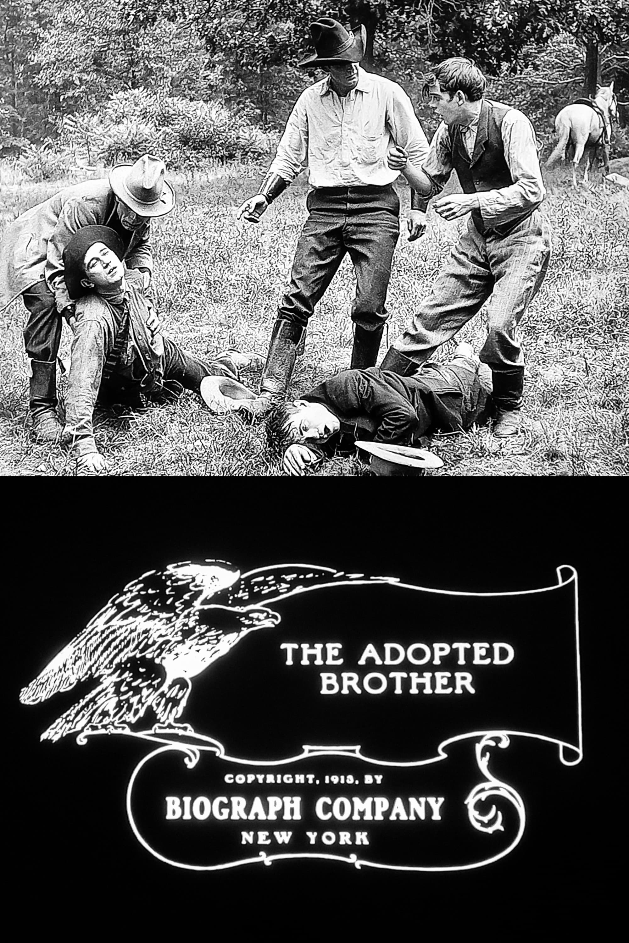The Adopted Brother (1913) постер