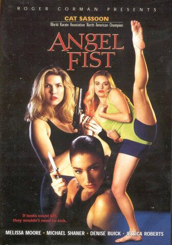 Кулак ангела (1993) постер