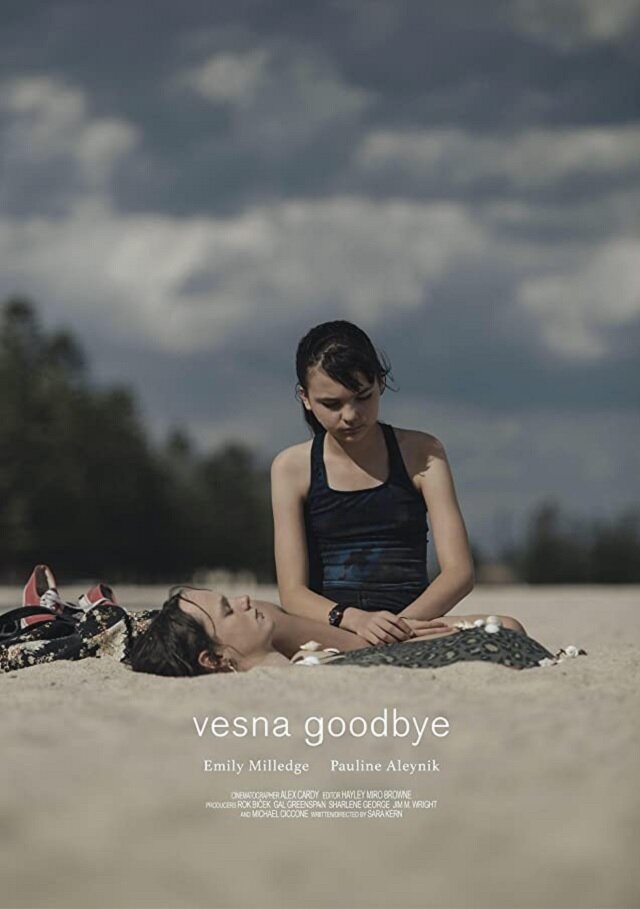 Vesna Goodbye (2020) постер