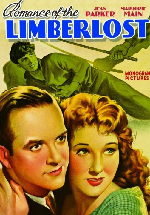 Romance of the Limberlost (1938) постер