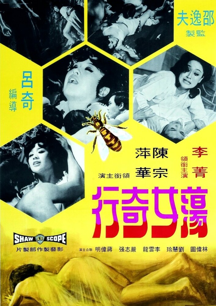 Dang nu ji hang (1973) постер