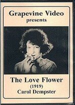 Цветок любви (1920) постер