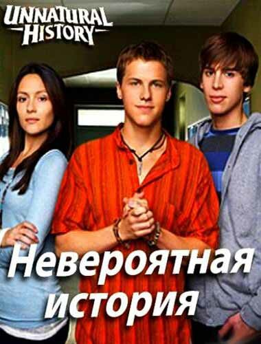 Невероятная история (2010) постер